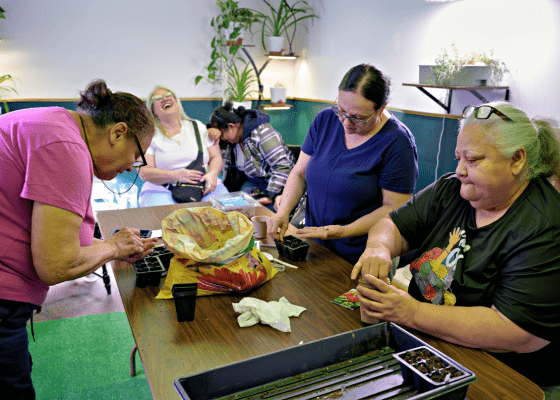 Aging Well Inc. participants plant seeds.