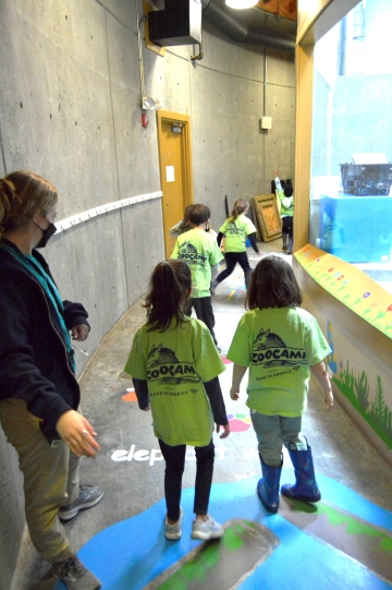 Children at Roger Williams Park Zoo use a sensory pathway with a colorfully painted floor.