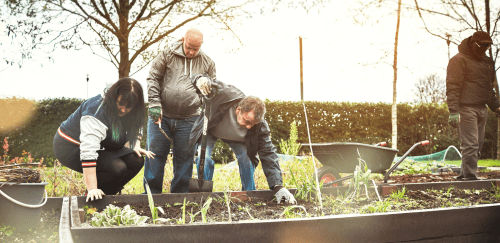 People cleaning out a garden in early spring.