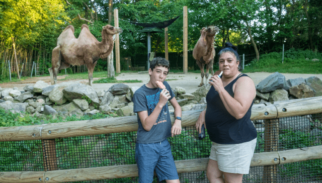 An aunt and nephew enjoy their ice cream in front of two camels.